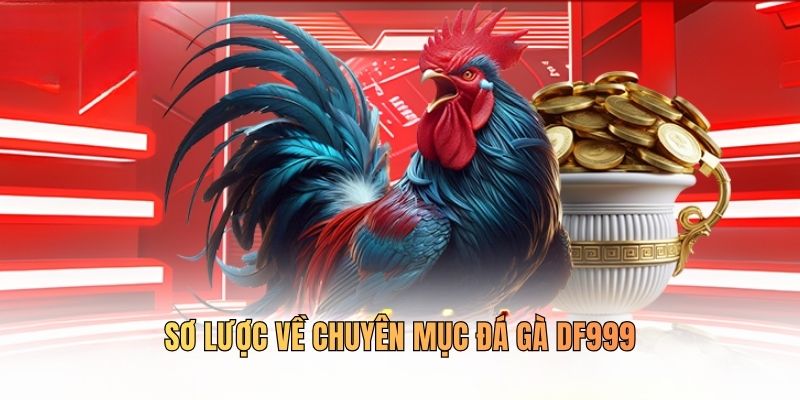 Sơ lược về chuyên mục đá gà DF999