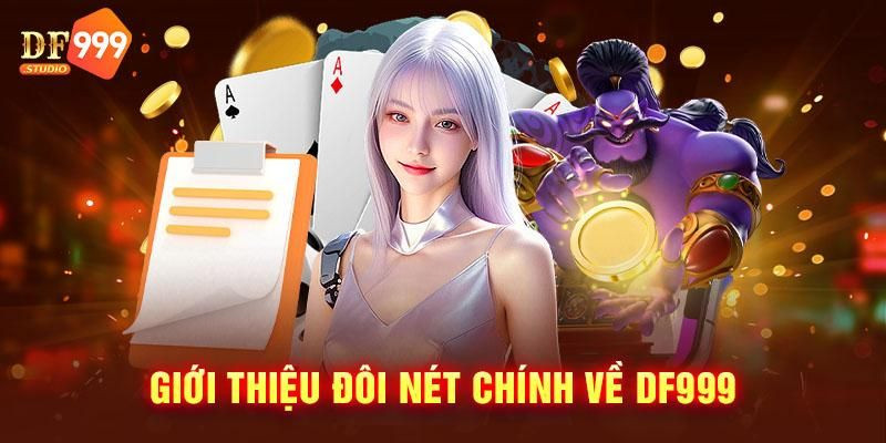 Giới thiệu vài nét về chính sách bảo mật DF999