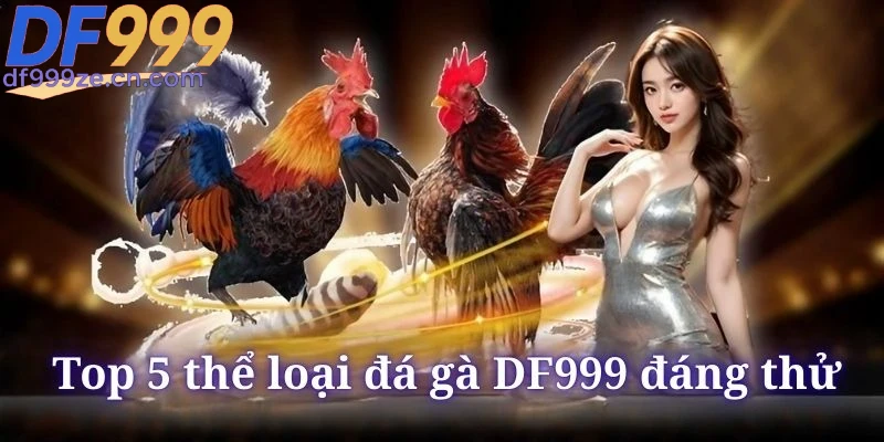 TOP những thể loại đá gà DF999 nên tham gia